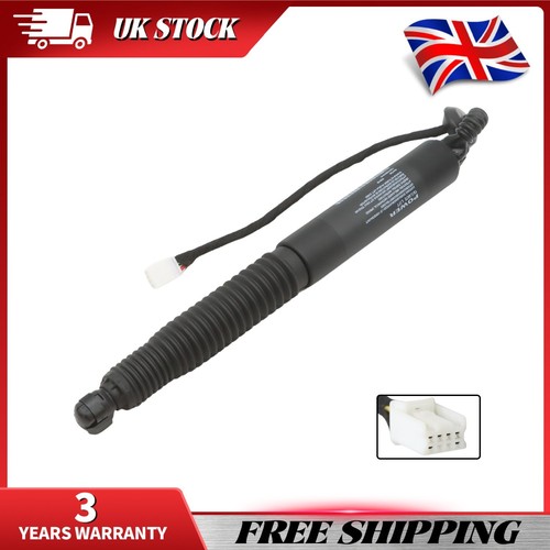 Rear tailgate boot - boot, struts
