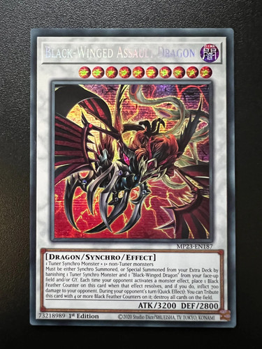 Black winged assault dragon - assault,